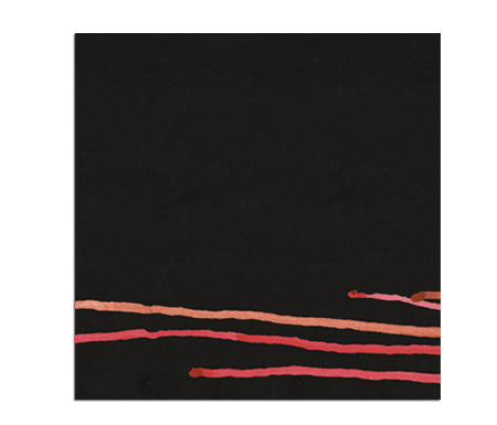 city and colour - Official Site