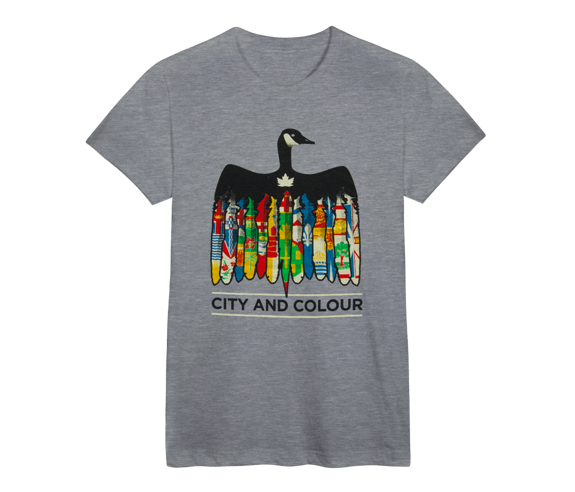 gray colour t shirt