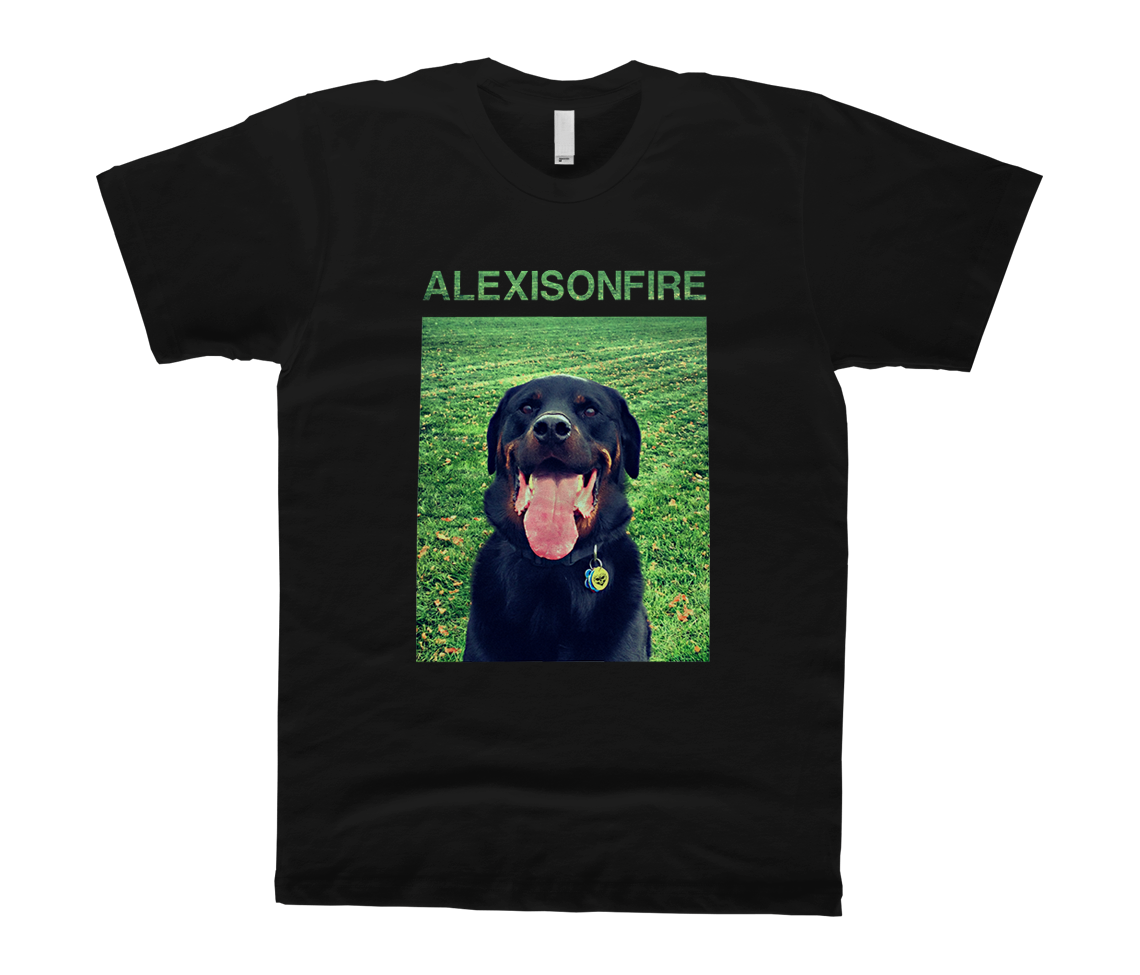 alexisonfire t shirt